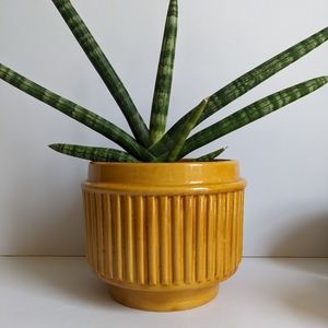 Vintage Ribbed Mustard Yellow Ceramic Planter Artist Signed